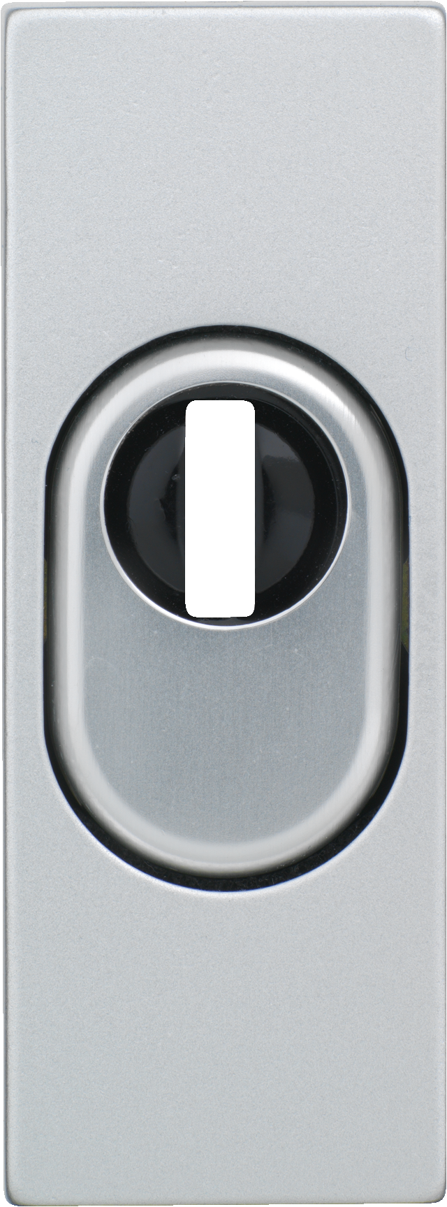 Door Accessory 6331 F1 B/DFNLI