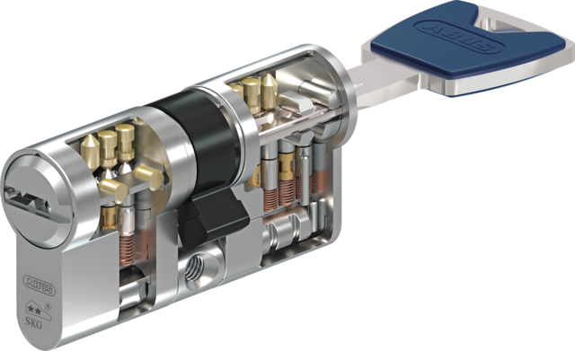 Schematische Darstellung