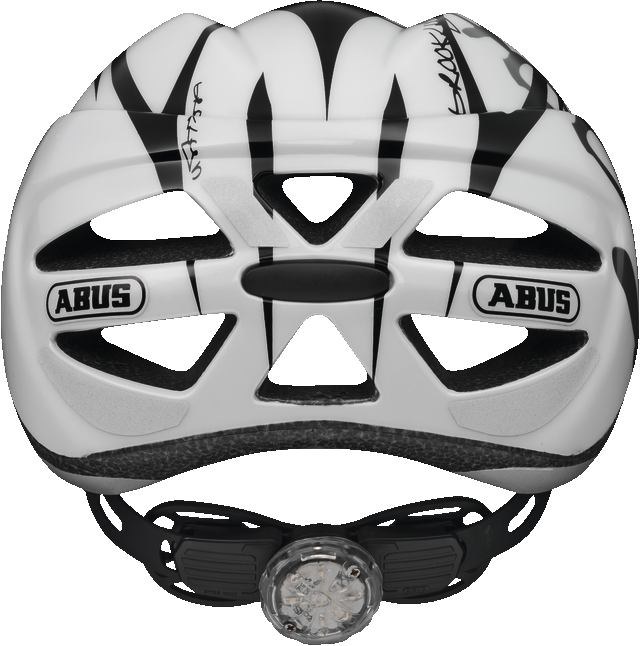 Hubble black white back view