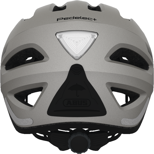 Pedelec+ silver edition back view