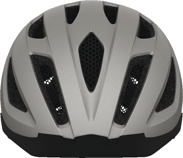 Pedelec+ silver edition front view