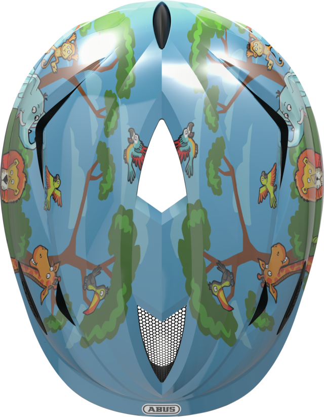 Anuky jungle top view