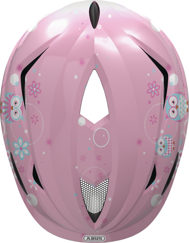 Anuky rose owl top view