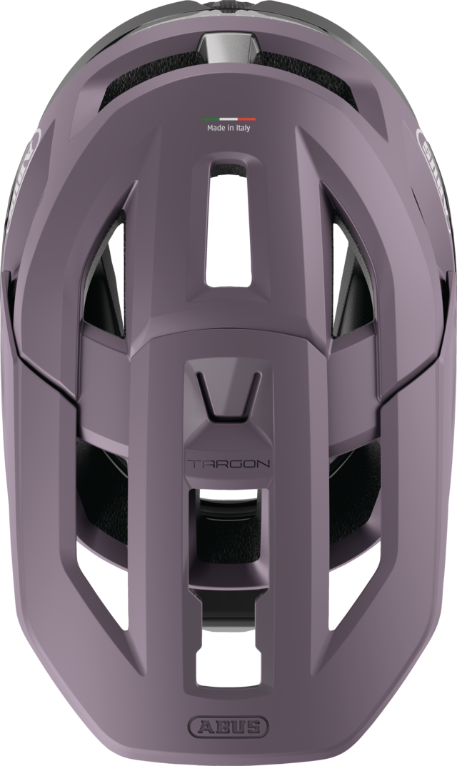Targon ash purple top view