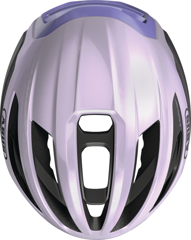 Taipan all-in purple vue de dessus