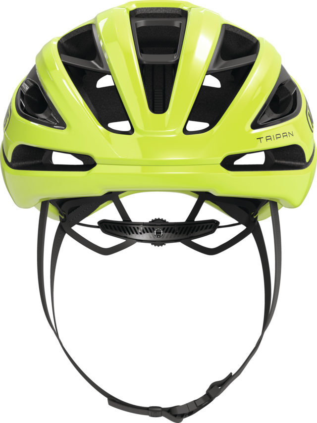 Taipan signal yellow vue de face