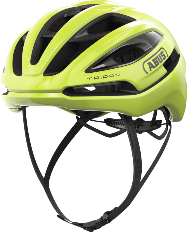 Taipan signal yellow vue oblique de face