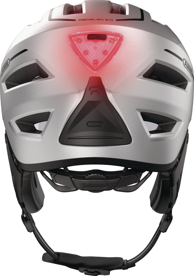 Pedelec Ace 2.0 silver edition back view