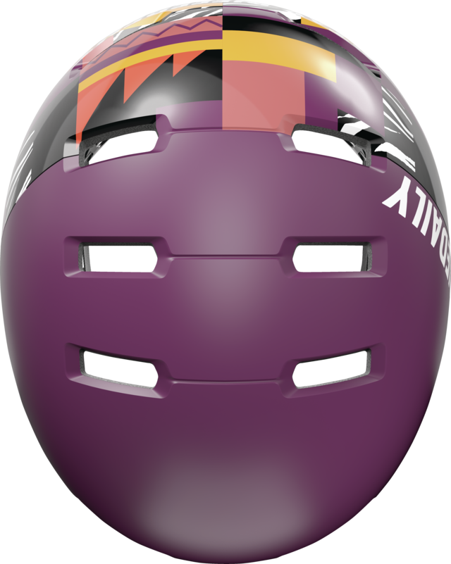 Skurb ACE Iriedaily plum vue de dessus