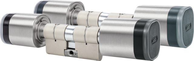 WLX Pro Double-knob cylinder, reader both sides