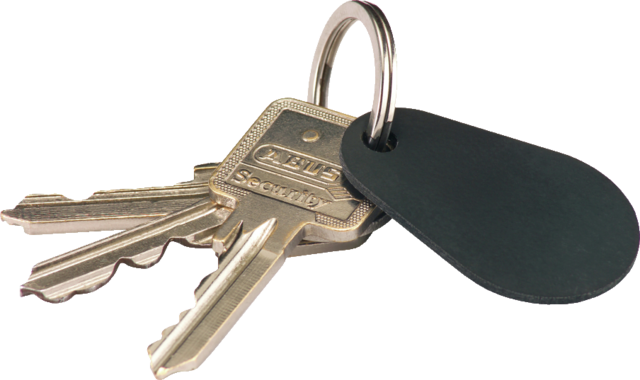 Proximity Chip Key front view