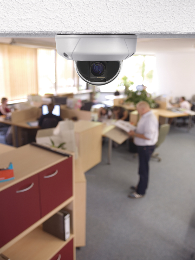 Mini PTZ Dome Camera Example of application