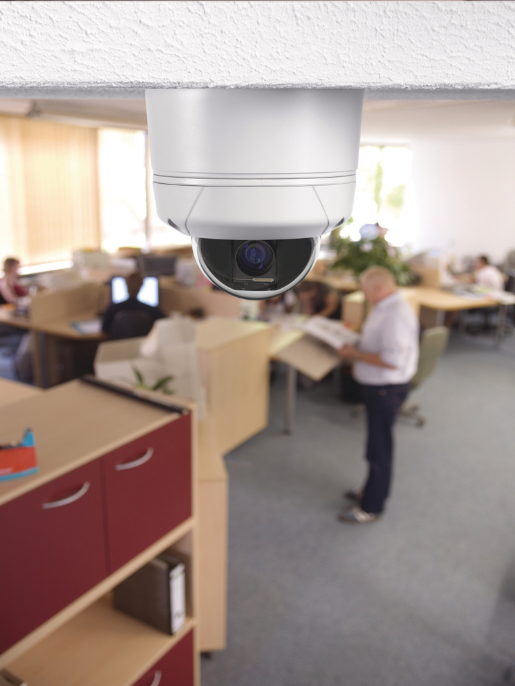 Mini PTZ Dome Camera Example of application