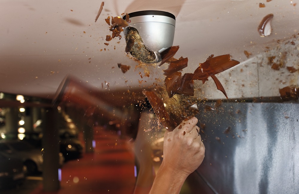 WD DNR IR Vario Ball Dome Camera 650 TVL Profiline