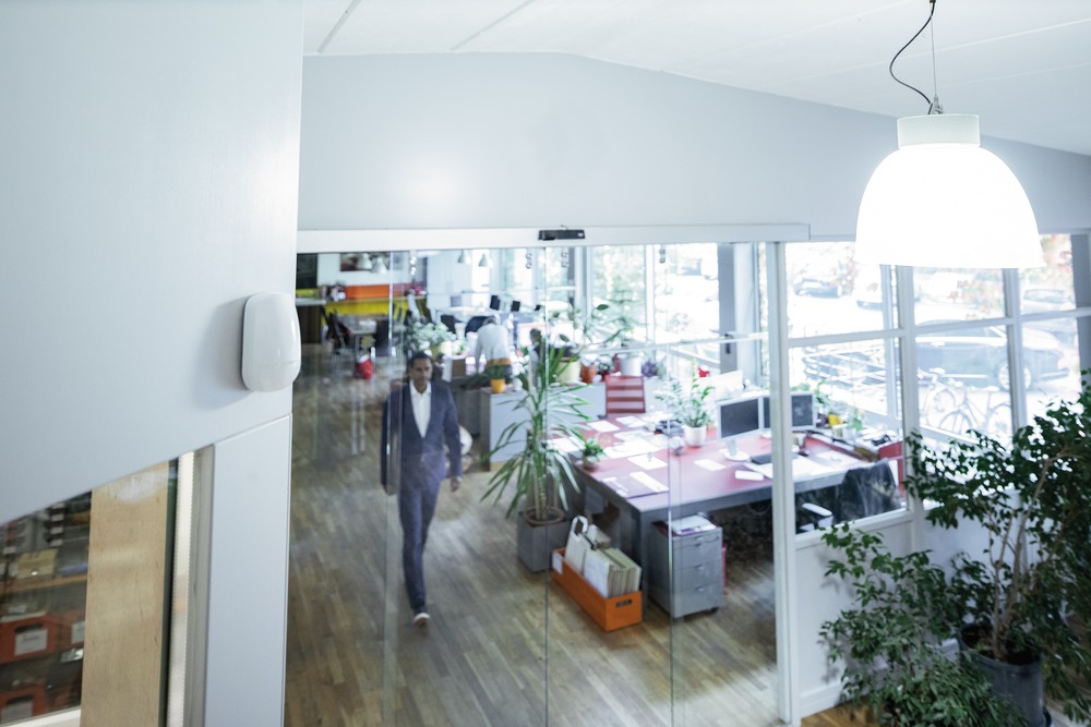 Détecteur de mouvement PIR MW (PET)