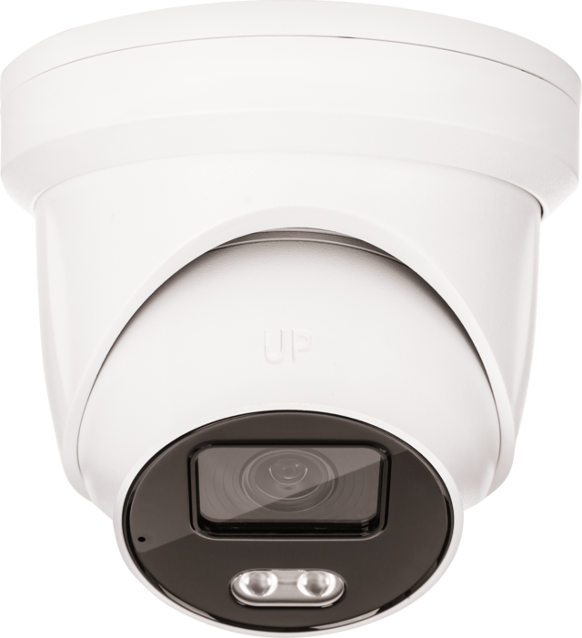 Bolvormige IP-dome 4 MPx (4 mm, WL)