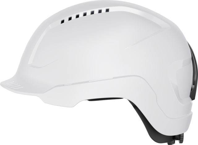 Scator polar white side view