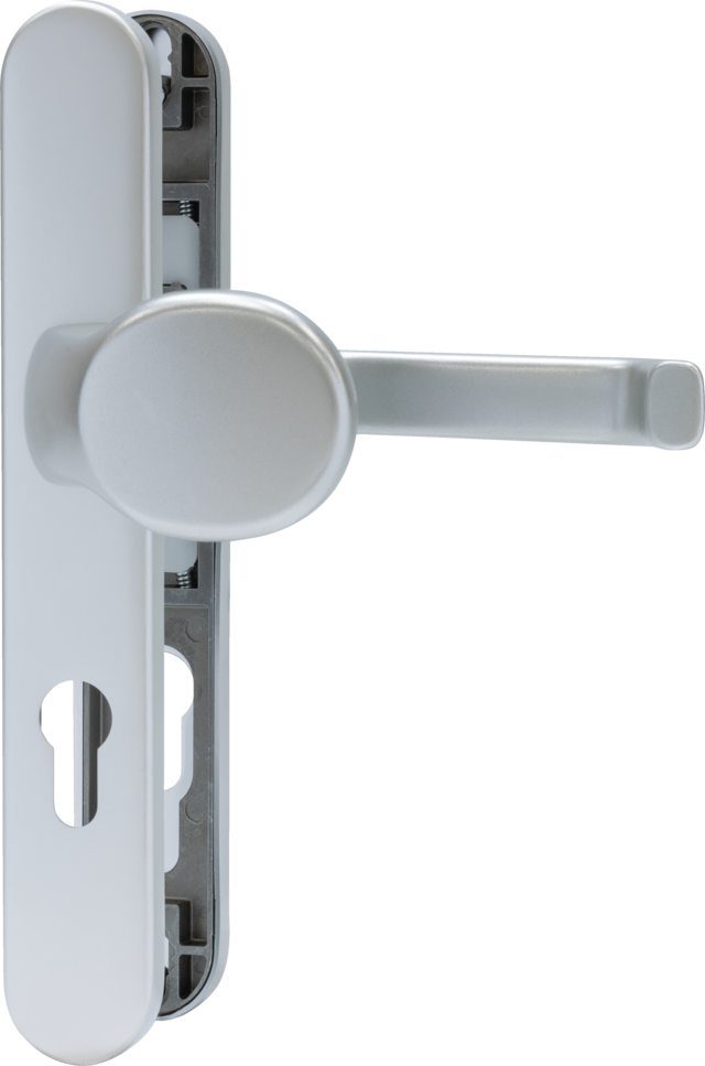 Door fitting SRG72N F1 handle plate/door handle
